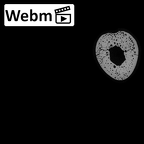NH MER35 99 Gorilla gorilla gorilla ulna left ct stack movie