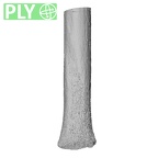 NH MER35 99 Gorilla gorilla gorilla ulna left distal ply