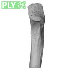 NH MER35 99 Gorilla gorilla gorilla ulna left proximal ply