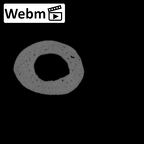 NH MER39 275 Mandrillus leucophaeus metacarpal fifth right ct stack movie