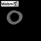 NH MER39 275 Mandrillus leucophaeus metacarpal fourth right ct stack movie