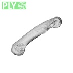 NH ZEN8 9 Mandrillus sphinx hand phalanx third proximal left ply