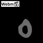 NH ZEN8 9 Mandrillus sphinx metacarpal fifth left ct stack movie
