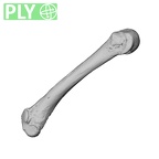 NH ZEN8 9 Mandrillus sphinx metacarpal fourth left ply