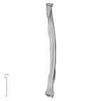 radius left