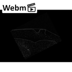 NH CON 214 Pan troglodytes schweinfurthii metatarsal third right epiphysis ct stack movie