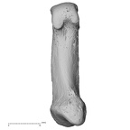 NH CAM1 204