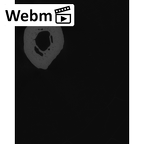 NH CAM2 301 Pan troglodytes troglodytes metacarpal second right ct stack movie