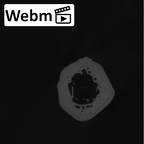 NH CAM2 301 Pan troglodytes troglodytes metacarpal third right ct stack movie