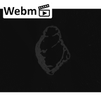 NH CAM2 301 Pan troglodytes troglodytes pisiform right ct stack movie