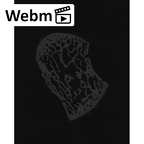 NH CAM2 301 Pan troglodytes troglodytes trapezium right ct stack movie