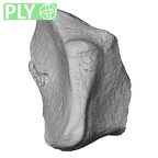 NH CAM2 301 Pan troglodytes troglodytes trapezoid right ply