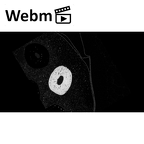 NH CON 214 Pan troglodytes schweinfurthii metacarpal fifth left ct stack movie