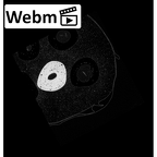 NH CON 214 Pan troglodytes schweinfurthii metacarpal second left ct stack movie