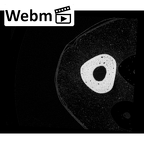 NH CON 214 Pan troglodytes schweinfurthii metacarpal third left ct stack movie