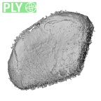 NH CON 214 Pan troglodytes schweinfurthii triquetrum left ply