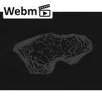 NH MER00 279 Pan troglodytes troglodytes hamate left ct stack movie