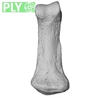 NH MER00 279 Pan troglodytes troglodytes hand phalanx fifth middle left ply