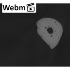NH MER00 279 Pan troglodytes troglodytes hand phalanx fifth proximal left ct stack movie