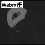 NH MER00 279 Pan troglodytes troglodytes hand phalanx second proximal left ct stack movie