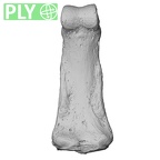 NH MER00 279 Pan troglodytes troglodytes hand phalanx third middle left ply