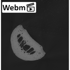 NH MER00 279 Pan troglodytes troglodytes hand phalanx third proximal left ct stack movie