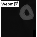 NH MER00 279 Pan troglodytes troglodytes metacarpal fifth left ct stack movie