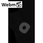 NH MER00 279 Pan troglodytes troglodytes metacarpal fourth left ct stack movie