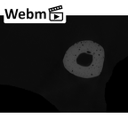 NH MER00 279 Pan troglodytes troglodytes metacarpal third left ct stack movie