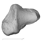 trapezium left