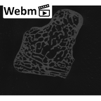 NH MER32 401 Pan troglodytes troglodytes hamate left ct stack movie