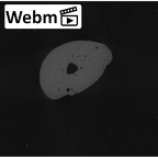 NH MER32 401 Pan troglodytes troglodytes hand phalanx fifth middle left ct stack movie