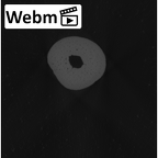 NH MER32 401 Pan troglodytes troglodytes hand phalanx first proximal left ct stack movie