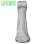 NH MER32 401 Pan troglodytes troglodytes hand phalanx fourth middle left ply