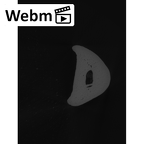 NH MER32 401 Pan troglodytes troglodytes hand phalanx fourth proximal left ct stack movie