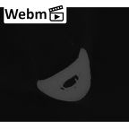 NH MER32 401 Pan troglodytes troglodytes hand phalanx third proximal left ct stack movie