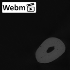 NH MER32 401 Pan troglodytes troglodytes metacarpal fifth left ct stack movie