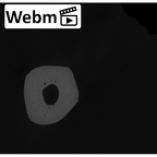 NH MER32 401 Pan troglodytes troglodytes metacarpal fourth left ct stack movie