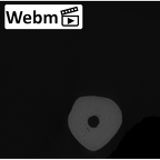 NH MER32 401 Pan troglodytes troglodytes metacarpal second left ct stack movie