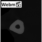 NH MER32 401 Pan troglodytes troglodytes metacarpal third left ct stack movie