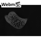 NH MER32 401 Pan troglodytes troglodytes scaphoid left ct stack movie