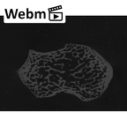 NH MER32 401 Pan troglodytes troglodytes trapezium left ct stack movie