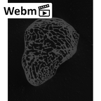 NH MER32 401 Pan troglodytes troglodytes trapezoid left ct stack movie