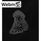 NH MER33 440 Pan troglodytes ellioti capitate right ct stack movie