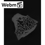 NH MER33 440 Pan troglodytes ellioti hamate right ct stack movie