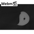 NH MER33 440 Pan troglodytes ellioti hand phalanx fifth proximal right ct stack movie