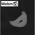 NH MER33 440 Pan troglodytes ellioti hand phalanx second proximal right ct stack movie