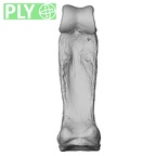NH MER33 440 Pan troglodytes ellioti hand phalanx third proximal right ply