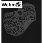 NH MER33 440 Pan troglodytes ellioti lunate left ct stack movie
