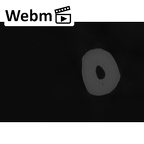 NH MER33 440 Pan troglodytes ellioti metacarpal fifth right ct stack movie